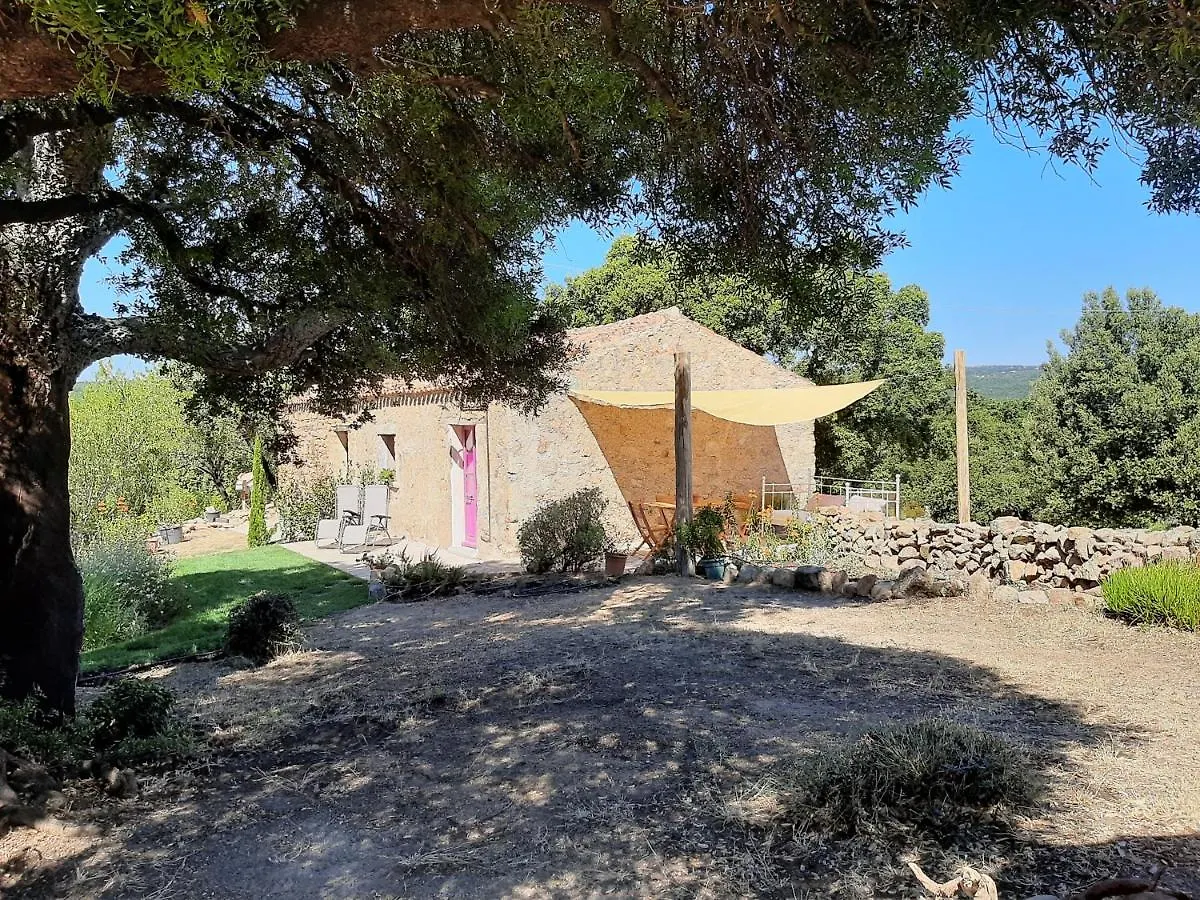 Casa di campagna Affittacamere stazzo su niberalzu Monti Italia