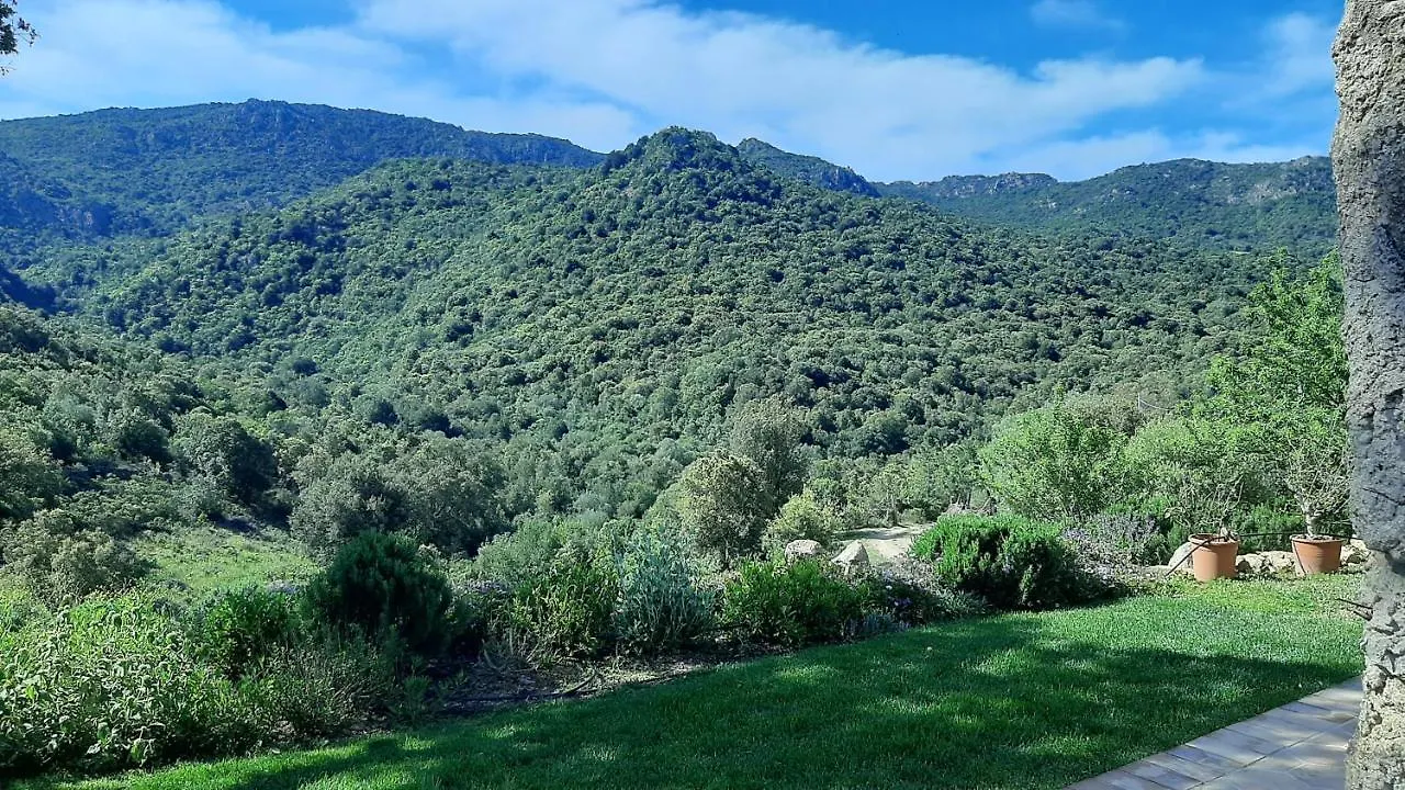 Affittacamere stazzo su niberalzu Monti Casa di campagna