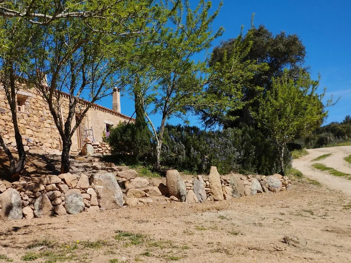 Affittacamere stazzo su niberalzu Monti Italia