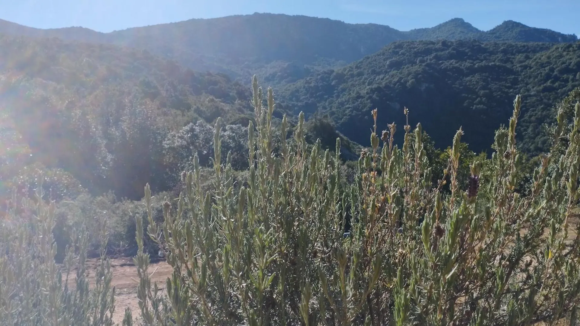 Landhuis Holiday Home Su Niberalzu Monti