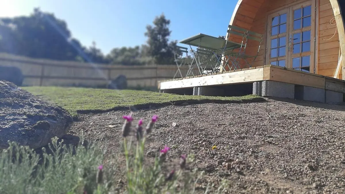 Holiday Home Su Niberalzu Monti