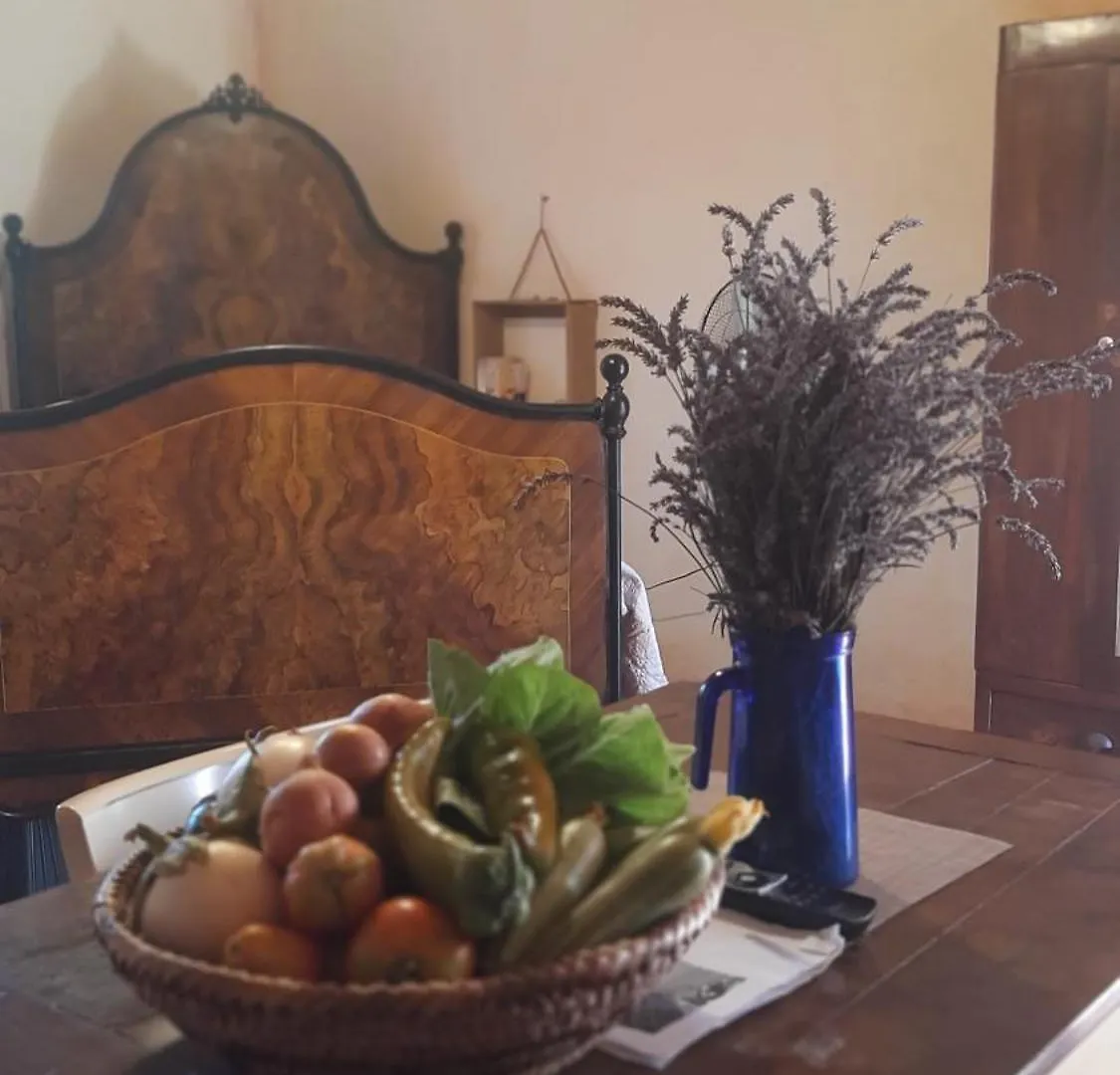 Casa di campagna Affittacamere stazzo su niberalzu Monti