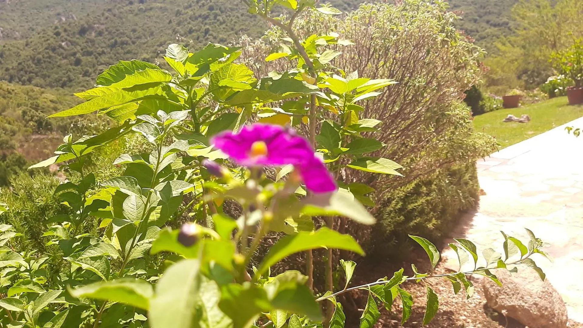 Casa di campagna Affittacamere stazzo su niberalzu Monti