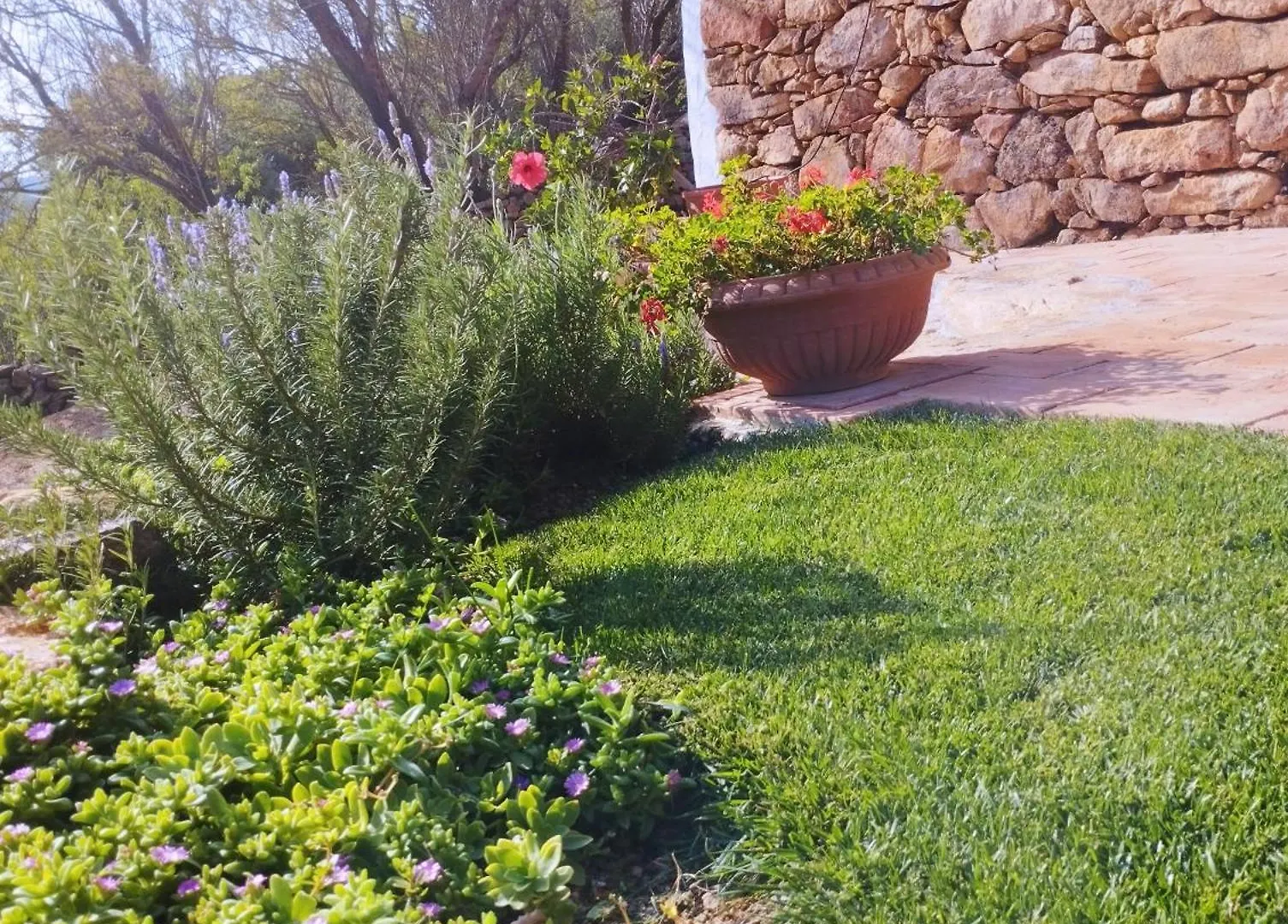 Holiday Home Su Niberalzu Monti