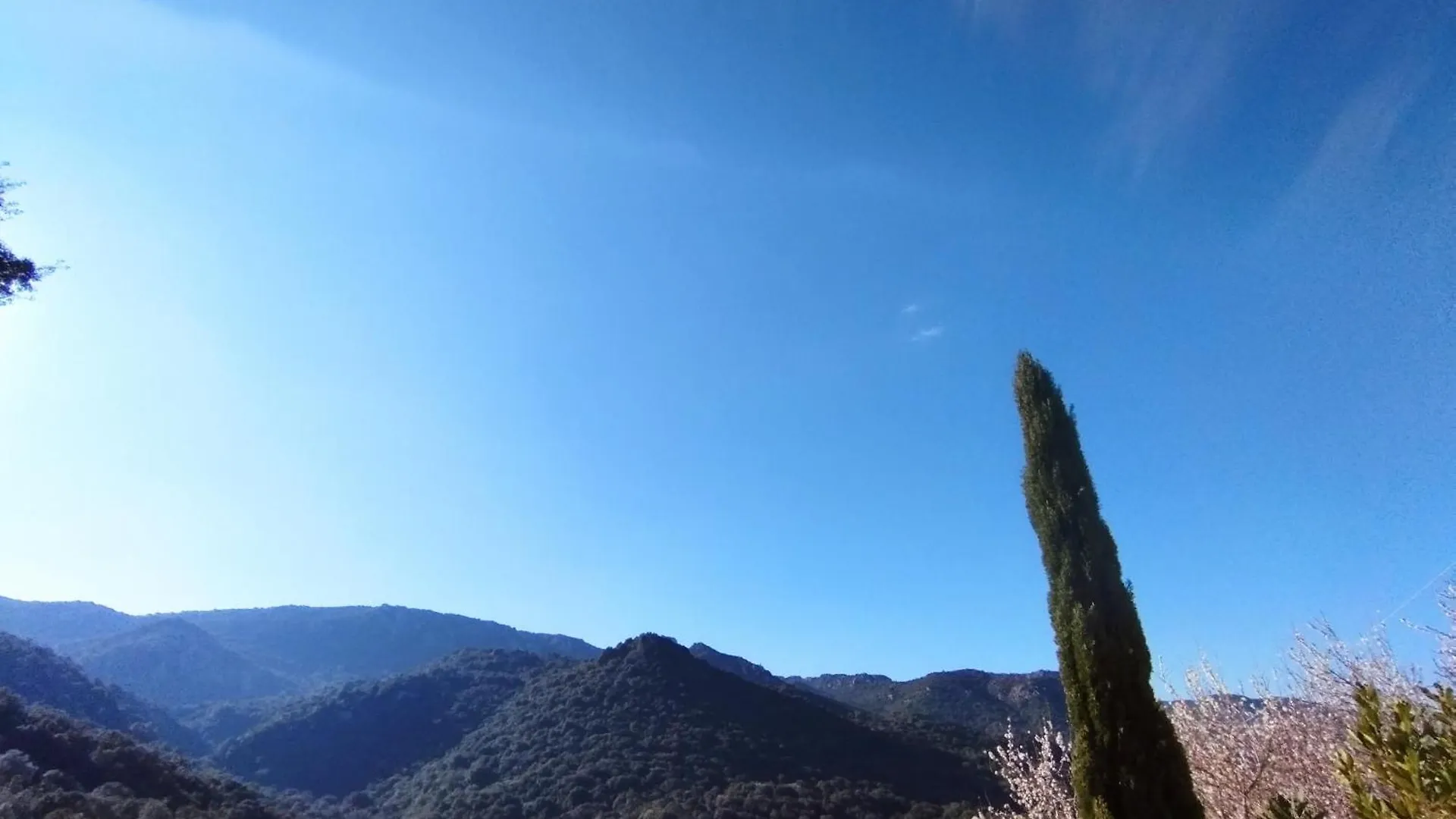 Casa di campagna Affittacamere stazzo su niberalzu Monti Italia