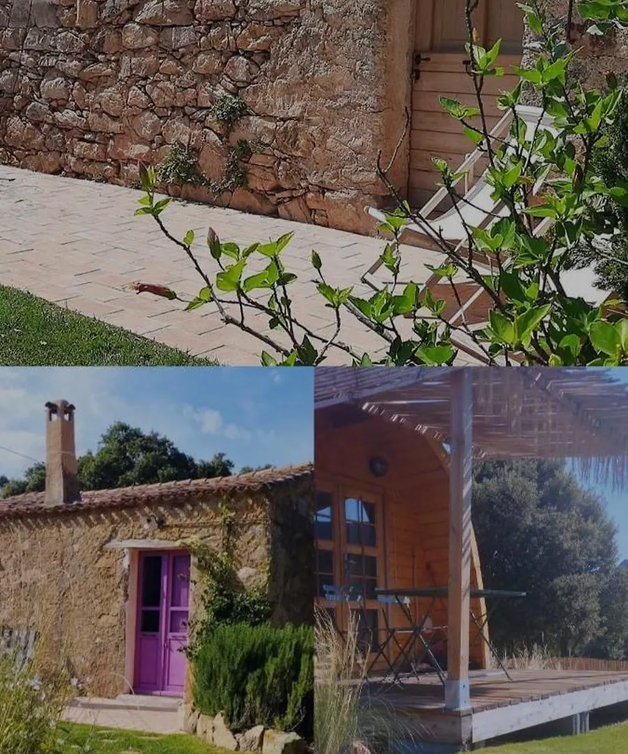 Affittacamere stazzo su niberalzu Monti Italia
