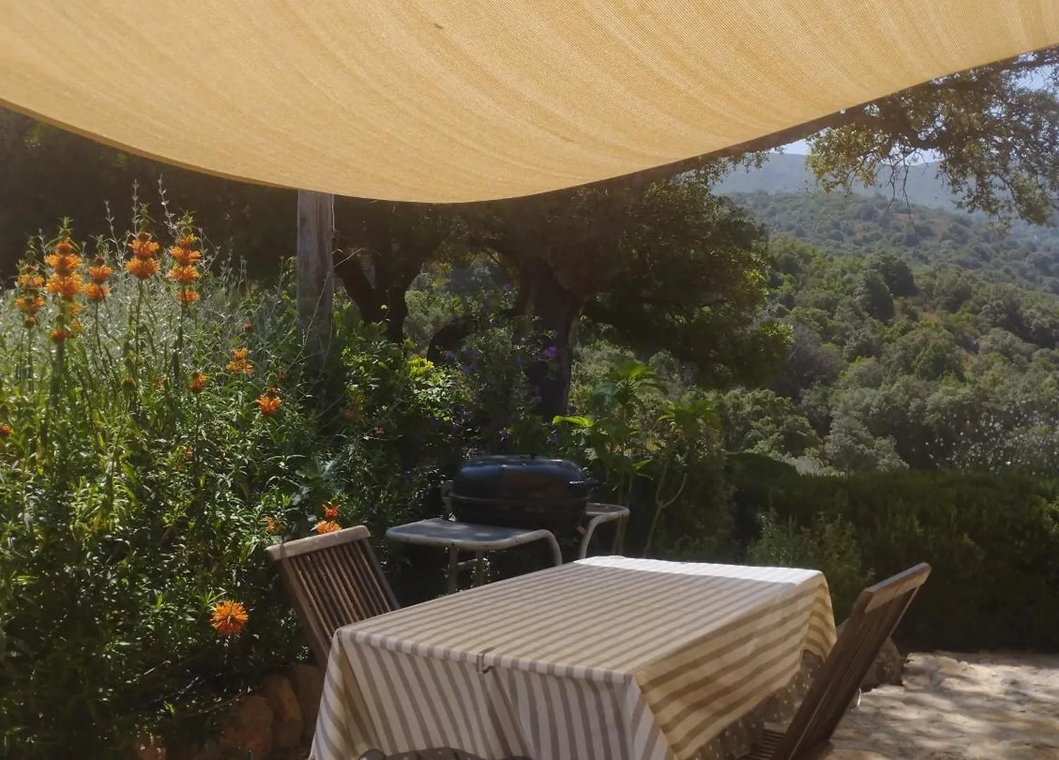 Holiday Home Su Niberalzu Monti Landhuis