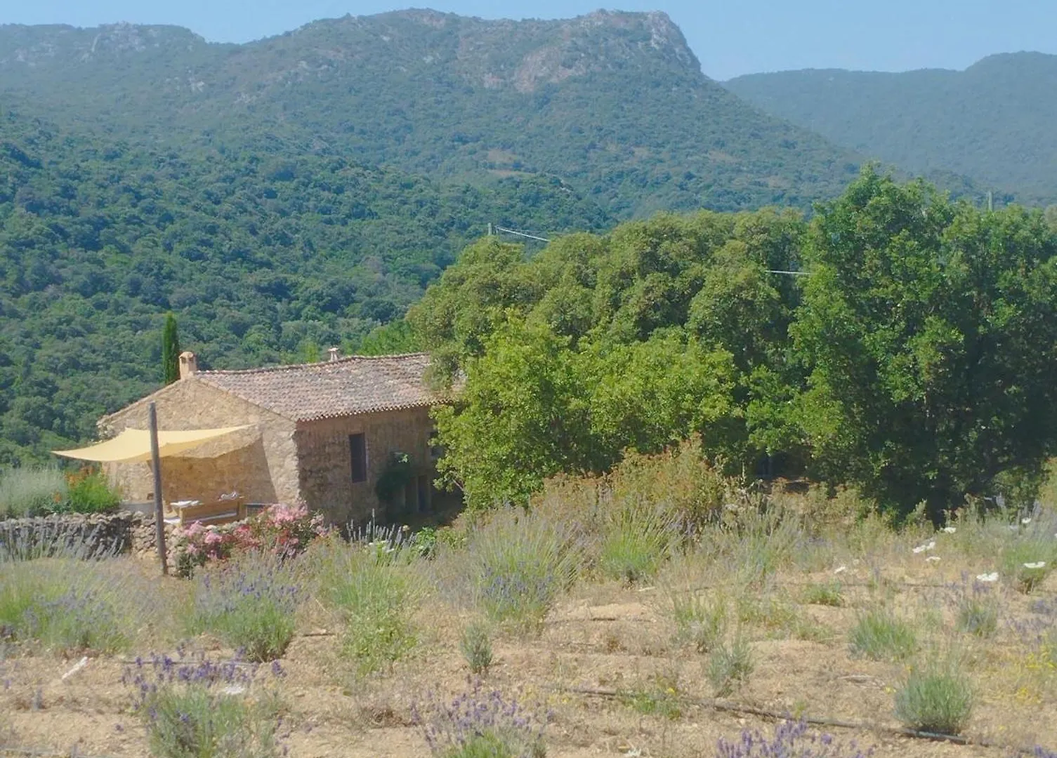 Holiday Home Su Niberalzu Monti Landhuis