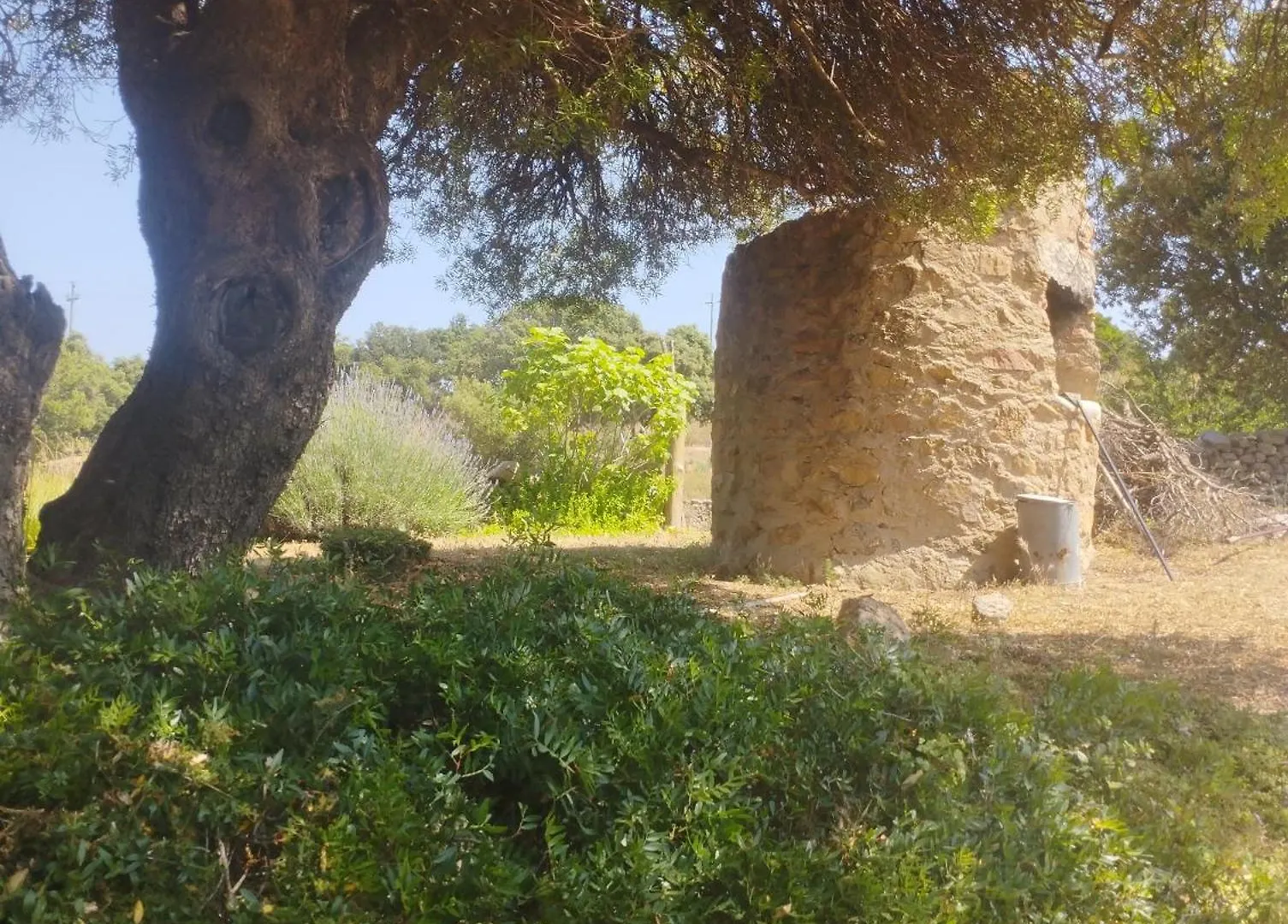 Landhuis Holiday Home Su Niberalzu Monti Italië