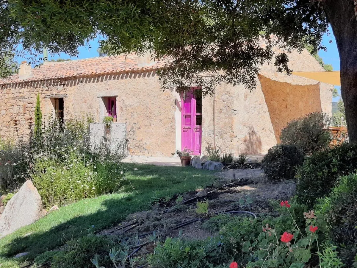 Séjour à la campagne Holiday Home Su Niberalzu Monti