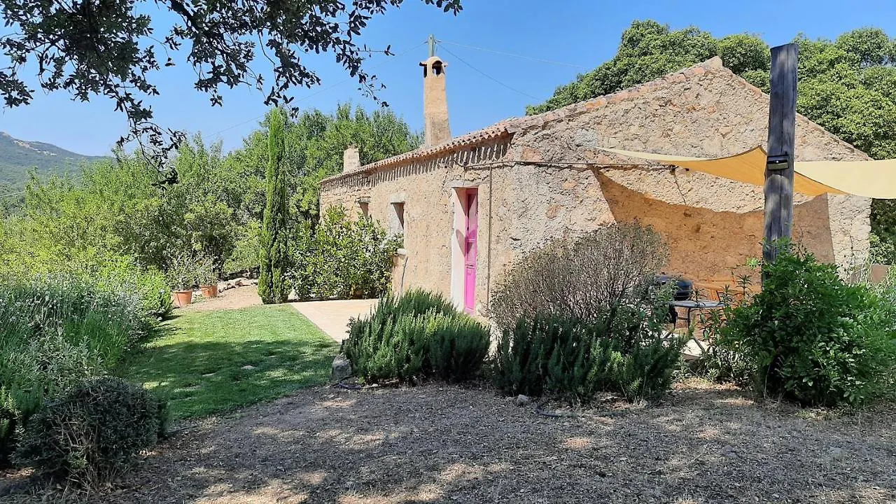 Holiday Home Su Niberalzu Monti Italie