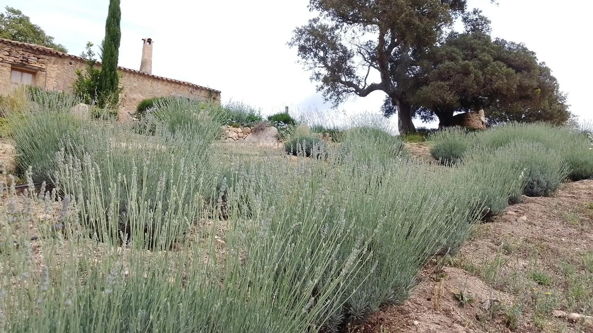 Holiday Home Su Niberalzu Monti Italie